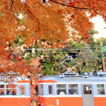 Hakone-Tozan-Railway_w150.png