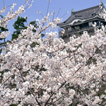 Okazaki-Castle3_w150