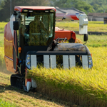 Rice-harvester_w150