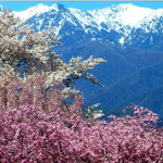 inadani-spring2_w150