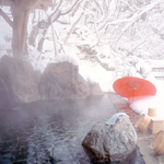 nikko-yunishikawa_w150